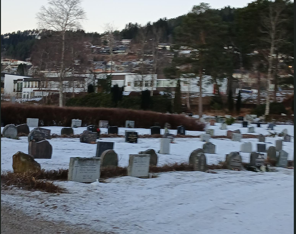 Bildet viser gravfelt med nedklipte hekker.